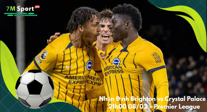 Đội hình dự kiến trước trận Brighton vs Crystal PalaceĐội hình dự kiến trước trận Brighton vs Crystal Palace Đội hình dự kiến trước trận Brighton vs Crystal Palace